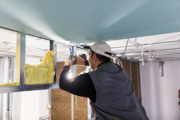 Best Insulation Maintenance and Repair in San Antonio Heights, CA