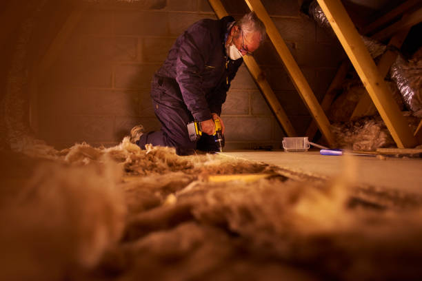 Best Insulation for Specific Applications in San Antonio Heights, CA